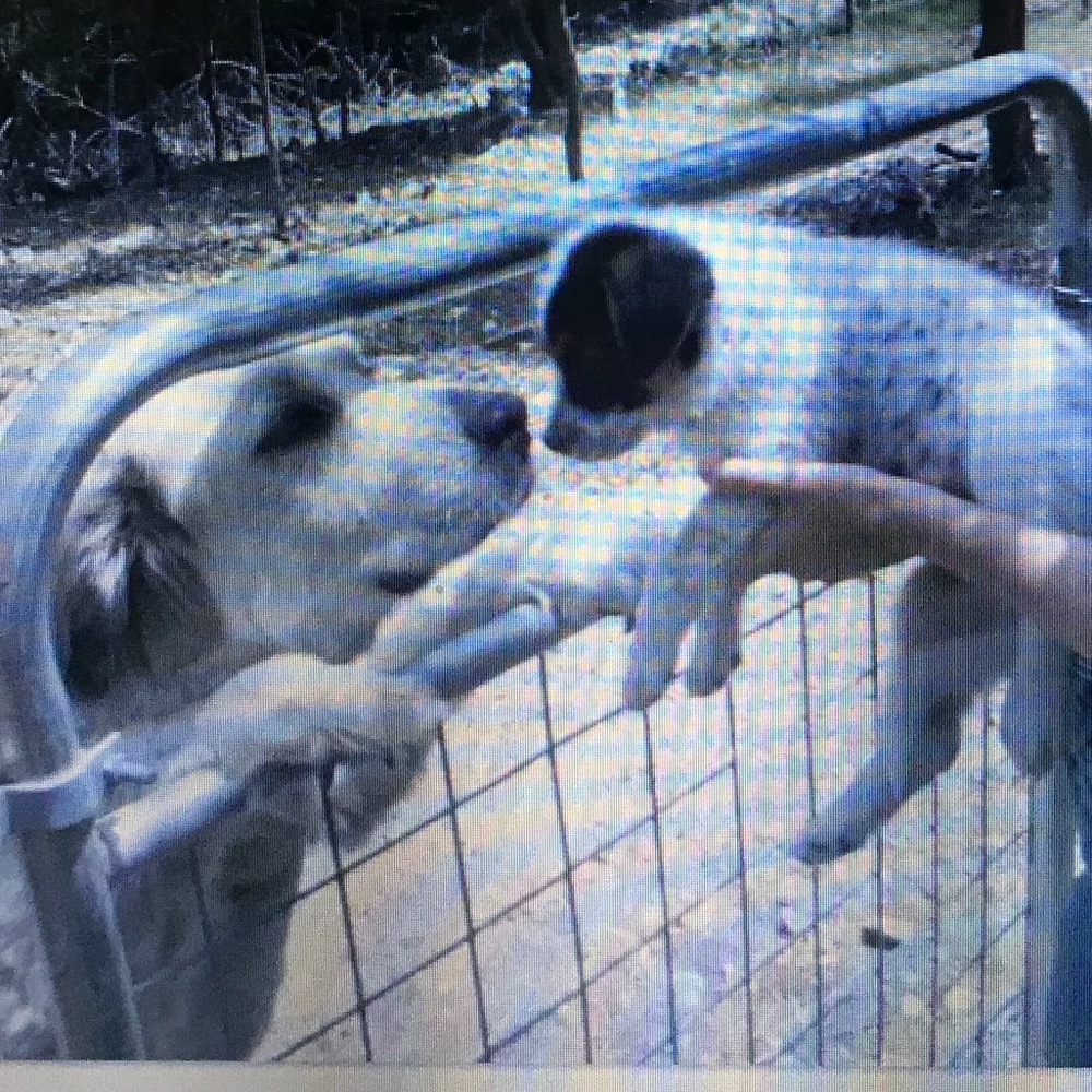 Meet your Posher, Laura